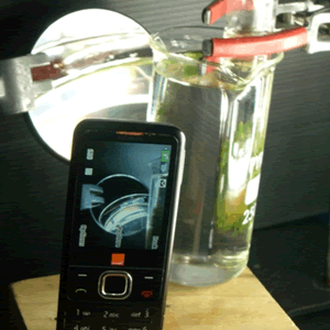 Measuring photosynthesis using a mobile phone